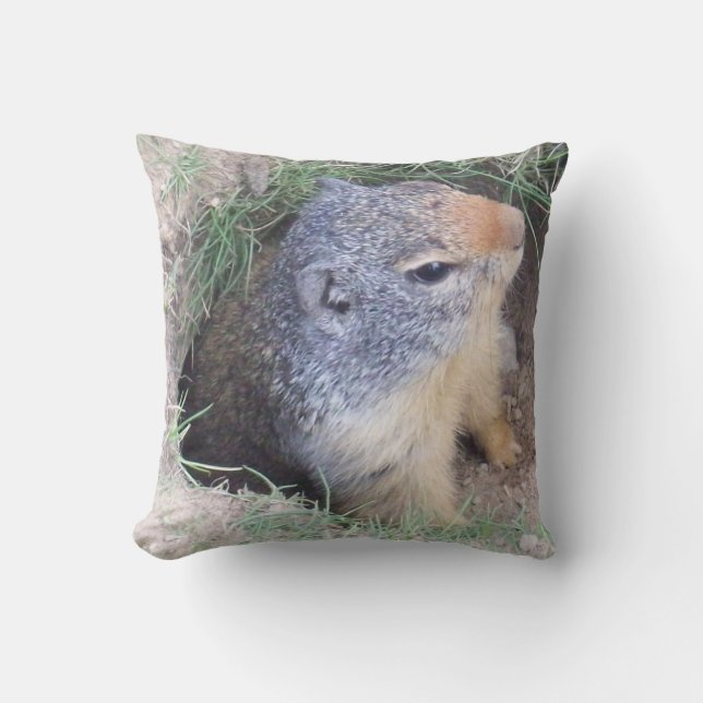 Groundhog Pillow (Front)