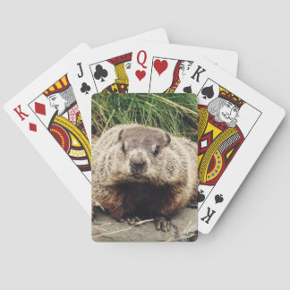 Groundhog Playing Cards