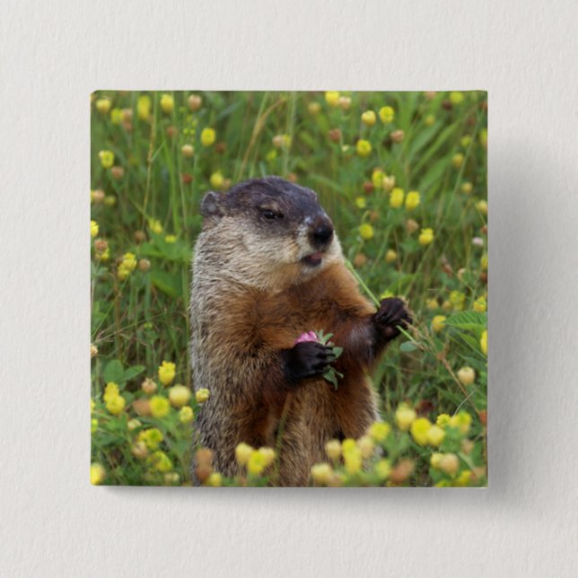 Groundhog Pose 15 Cm Square Badge (Front)