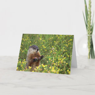 Groundhog Pose Card