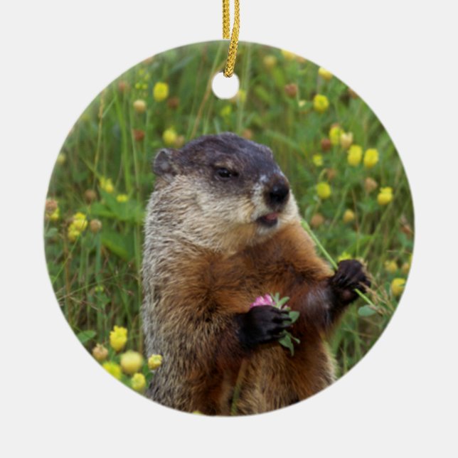 Groundhog Pose Ceramic Tree Decoration (Front)