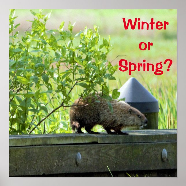 Groundhog Poster (Front)