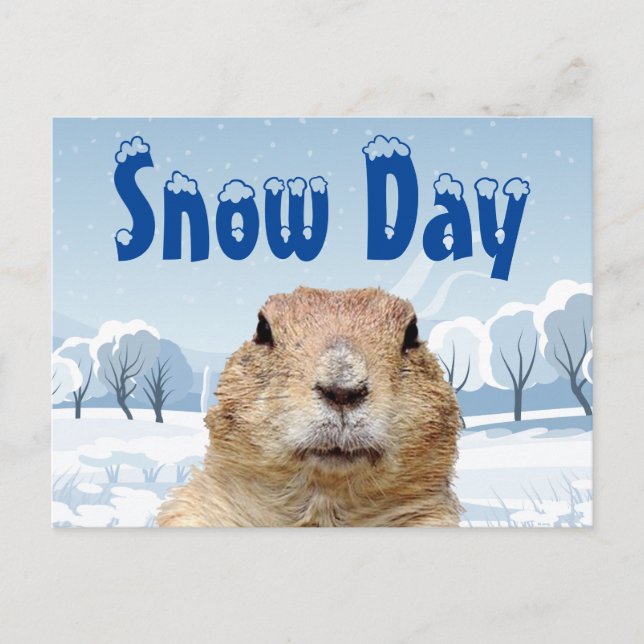 Groundhog Snow Day Postcard (Front)