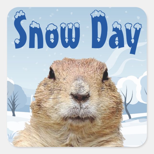 Groundhog Snow Day Square Sticker (Front)
