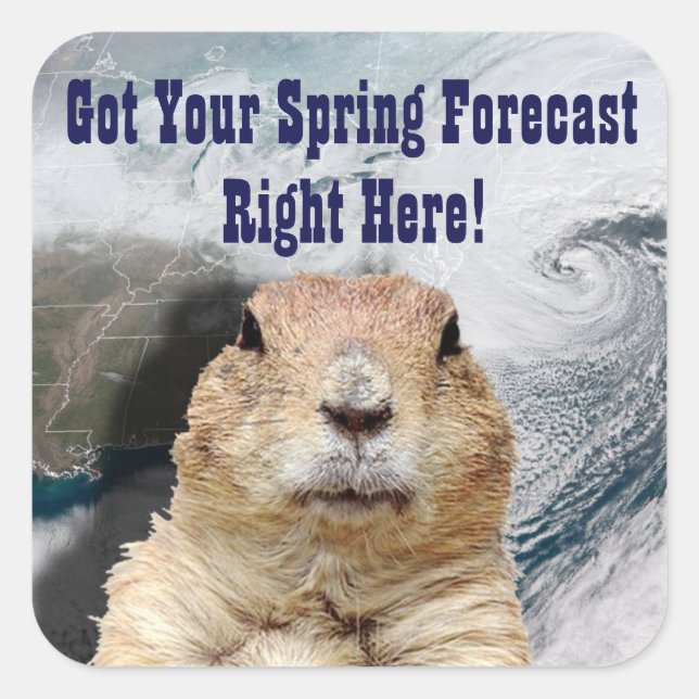 Groundhog Spring Forecast Square Sticker (Front)