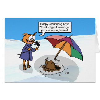 Groundhog Surprise