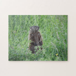 Groundhog Woodchuck Standing in Grass Puzzle
