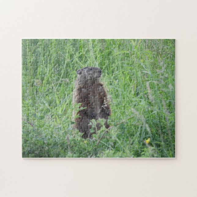 Groundhog Woodchuck Standing in Grass Puzzle (Horizontal)