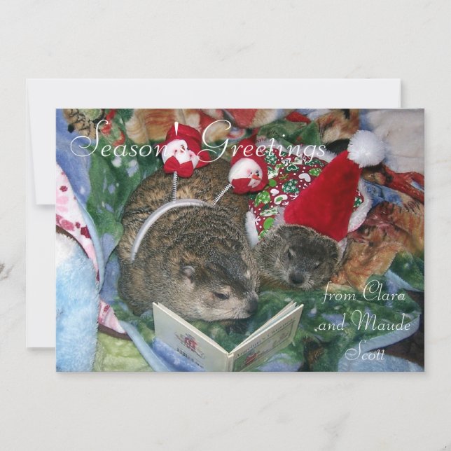 Groundhogs Clara and Maude's Holiday Greeting Card (Front)