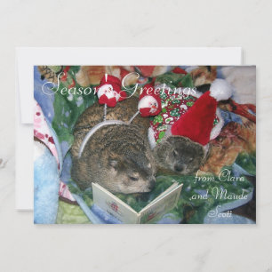 Groundhogs Clara and Maude's Holiday Greeting Card