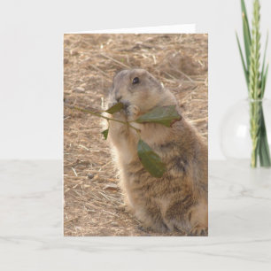 Groundhog's Day Card