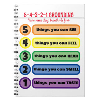 Grounding Technique for Anxiety/Stress 5 Senses Notebook