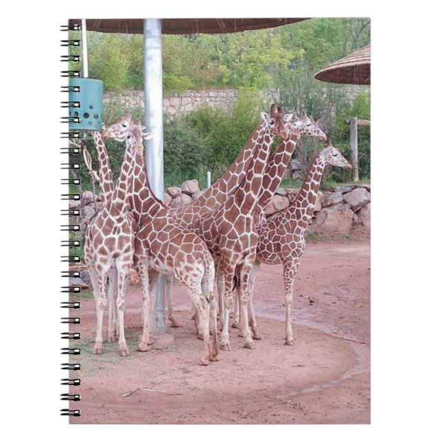 Group Notebook #2 (Front)