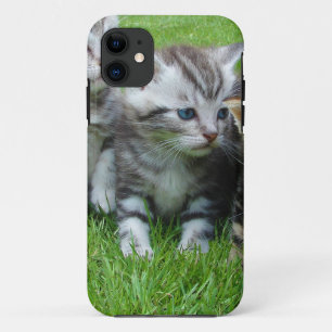 Group of adorable kittens. iPhone 11 case