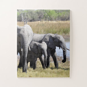 Group of African Elephants in Front of Water Hole Jigsaw Puzzle