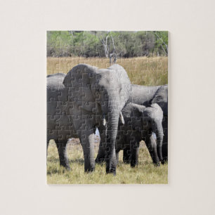 Group of African Elephants in Front of Water Hole Jigsaw Puzzle