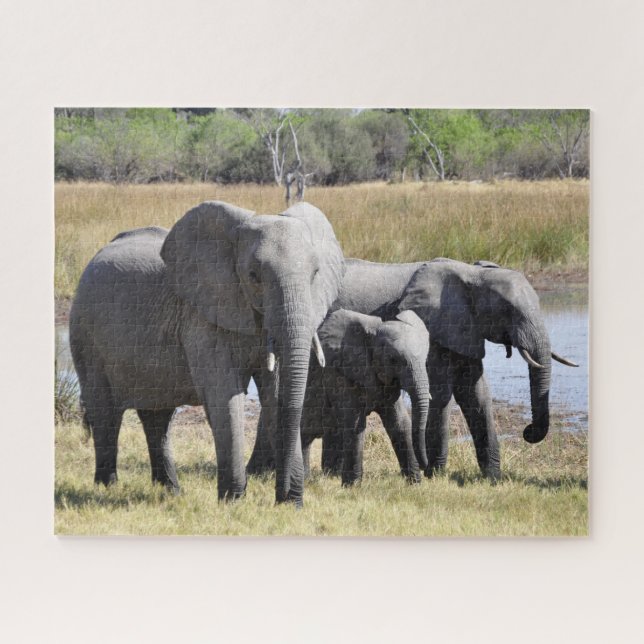 Group of African Elephants in Front of Water Hole Jigsaw Puzzle (Horizontal)