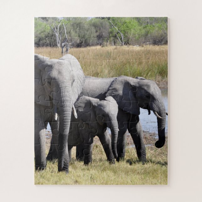 Group of African Elephants in Front of Water Hole Jigsaw Puzzle (Vertical)