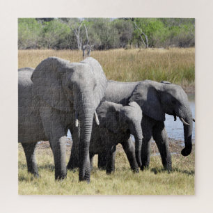 Group of African Elephants in Front of Water Hole Jigsaw Puzzle