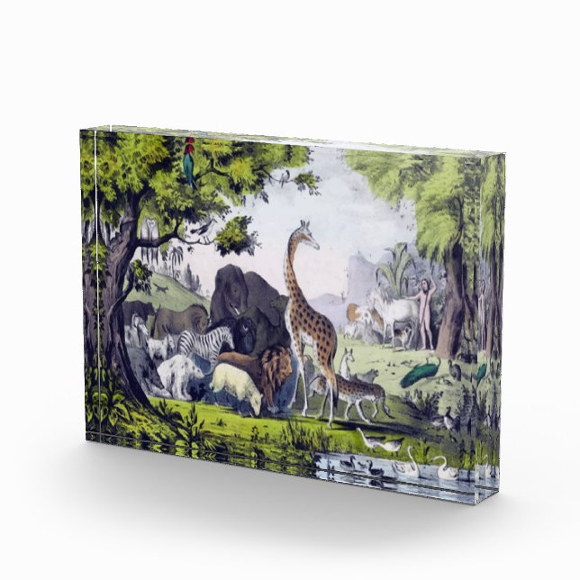 Group of animals photo block (Right)