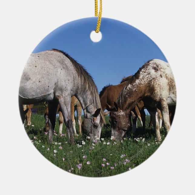 Group of Appaloosa Horses Grazing Ceramic Ornament (Front)