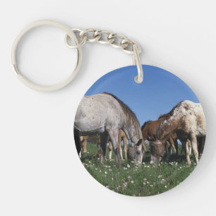Group of Appaloosa Horses Grazing Key Ring