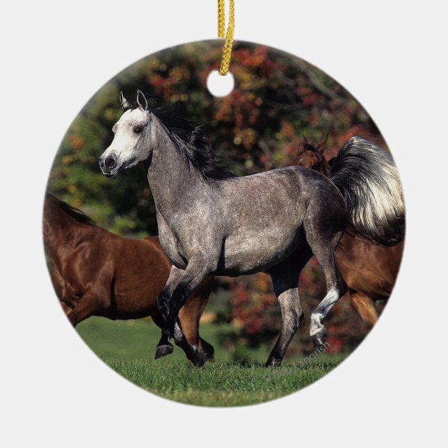 Group of Arab Horses Running Ceramic Tree Decoration (Front)