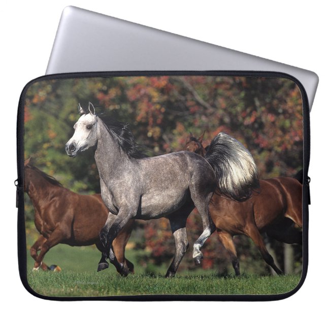 Group of Arab Horses Running Laptop Sleeve (Front)