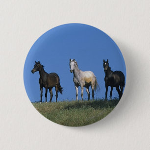 Group of Arabs 6 Cm Round Badge
