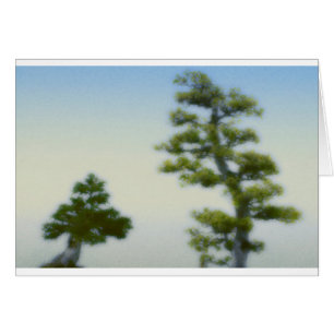Group of Bonsai Pine Trees