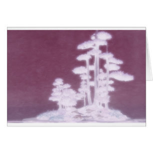 Group of Bonsai Pine Trees