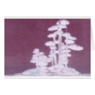 Group of Bonsai Pine Trees