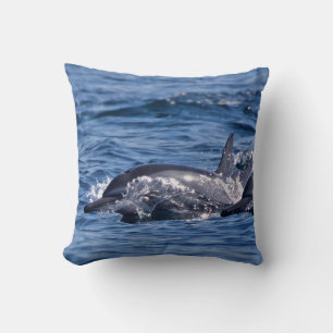 Group of bottlenose dolphins cushion