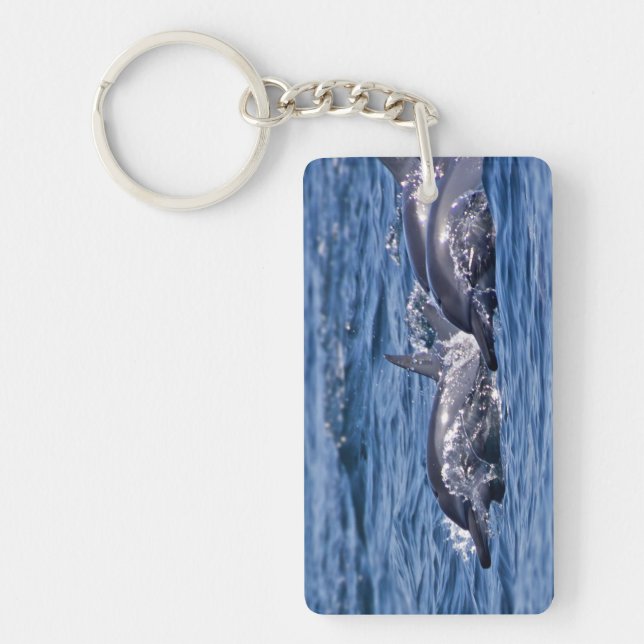 Group of bottlenose dolphins - Oman Key Ring (Front)