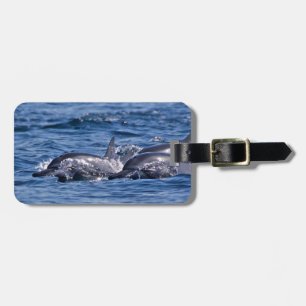 Group of bottlenose dolphins - Oman Luggage Tag