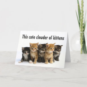 GROUP OF "CUTE KITTENS SAY HAPPY BIRTHDAY" CARD