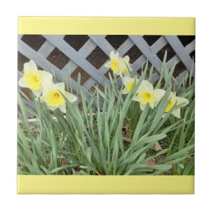 Group of Daffodils Ceramic Tile