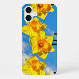 Group of Daffodils Gold Medal flowers Phone Case