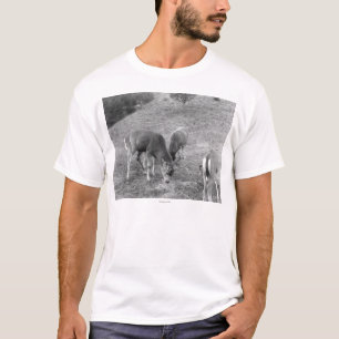 Group of Deer at Hot Springs Photograph T-Shirt