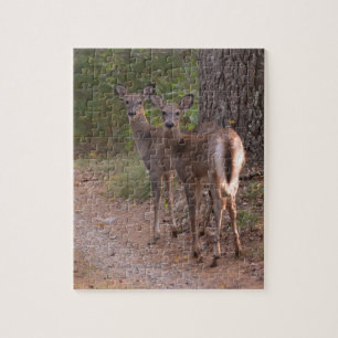 Group of Deer Jigsaw Puzzle