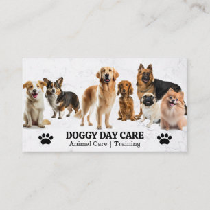 Group of Dogs   Animal Care   Trainer Business Card