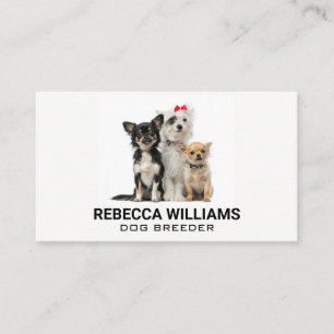 Group of Dogs   Animal Services Business Card