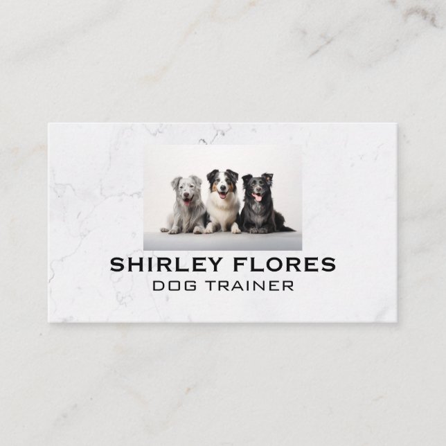 Group of Dogs | Pet Care  Business Card (Front)