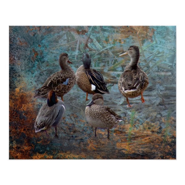 group of ducks poster (Front)