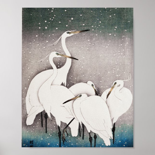Group of Egrets Poster (Front)
