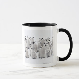 Group of Emperor penguins (Aptenodytes forsteri) Mug