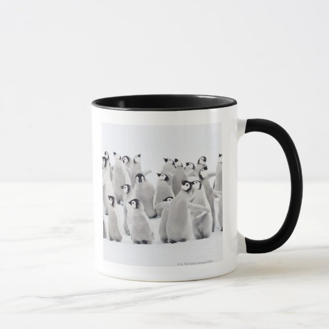 Group of Emperor penguins (Aptenodytes forsteri) Mug (Right)