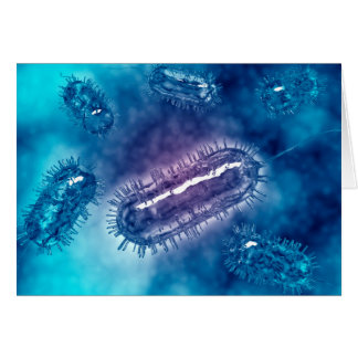 Group Of Escherichia Coli Bacteria Cells 1