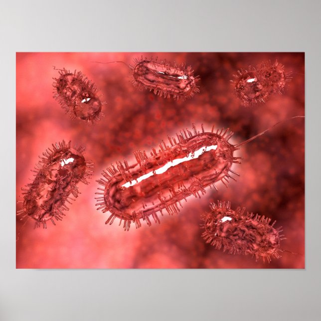 Group Of Escherichia Coli Bacteria Cells 2 Poster (Front)