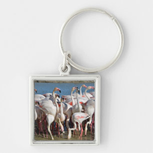 Group of flamingos in Camargue Key Ring